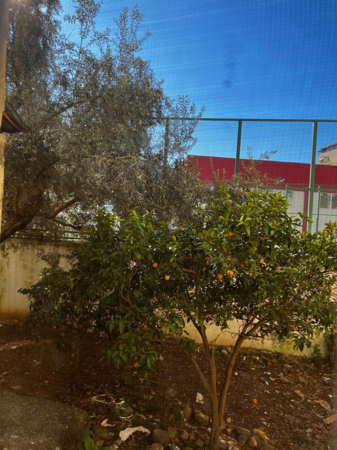 Amion In Center Of Apartamento Tirana